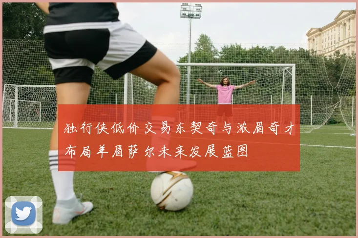 独行侠低价交易东契奇与浓眉奇才布局羊眉萨尔未来发展蓝图